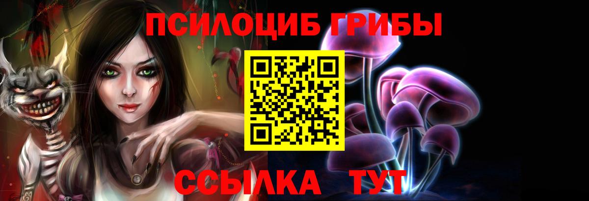 Галлюциногенные грибы Magic Shrooms  Псилоцибиновые грибы GOLDEN TEACHER  Кудымкар  Вход с VPN 
